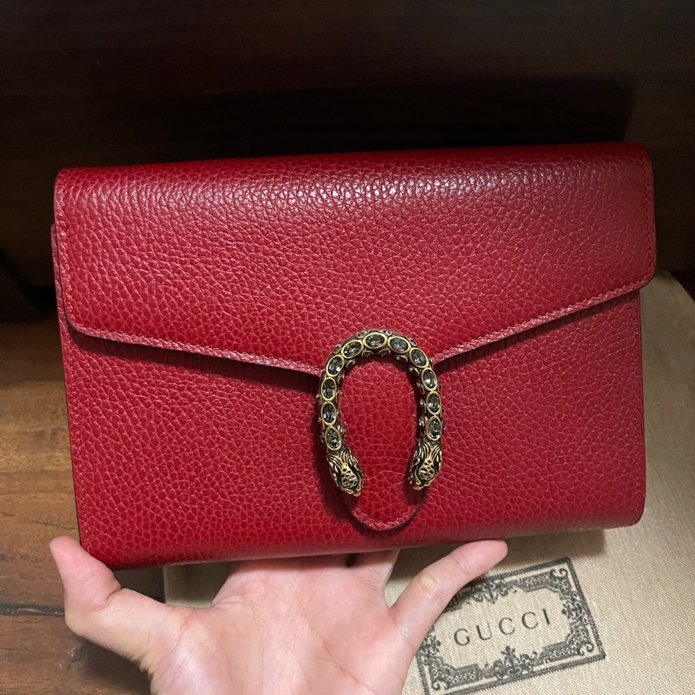 Dionysus mini leather chain bag